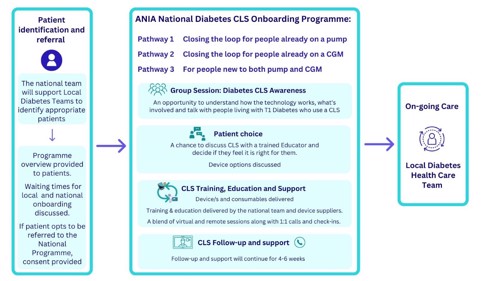 National Diabetes Closed Loop System Onboarding Programme Pathways